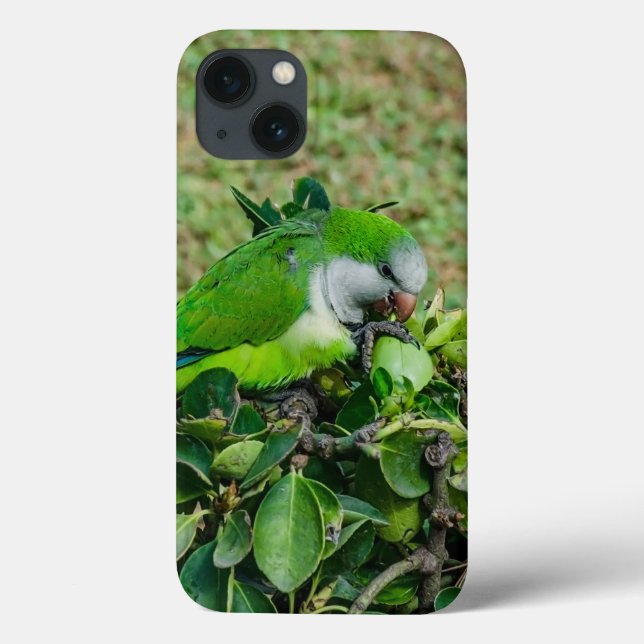 Green parrot Case-Mate iPhone case (Back)