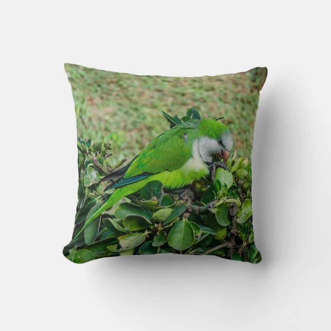 Green parrot cushion (Front)