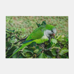 Green parrot doormat