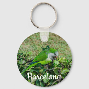 Green parrot key ring