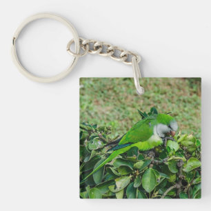 Green parrot key ring