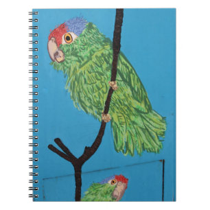green parrot notebook
