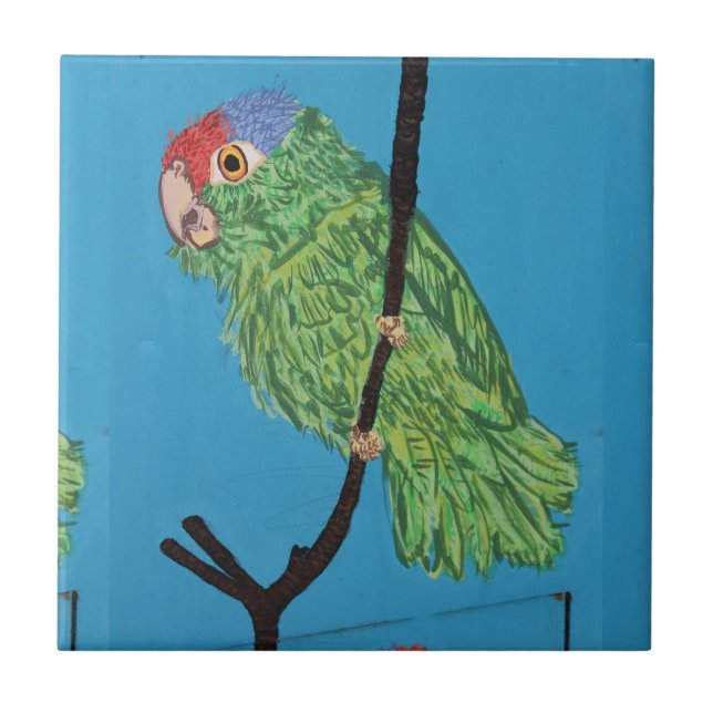green parrot on blue tile (Front)