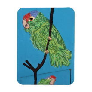 green parrot photo magnet