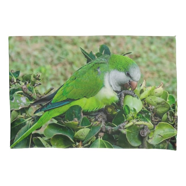 Green parrot pillowcase (Front)