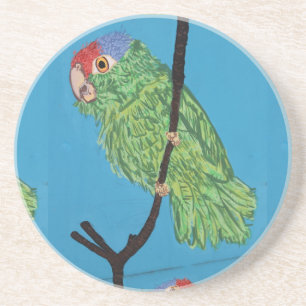 green parrot poster coaster