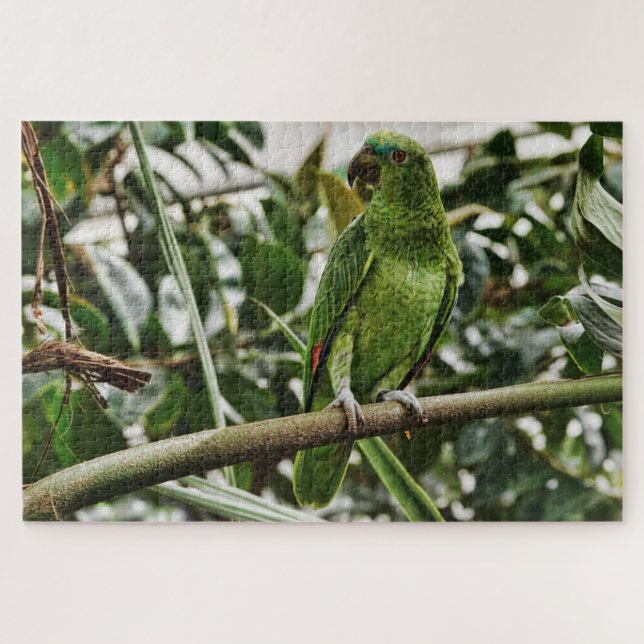 green parrot puzzle (Horizontal)