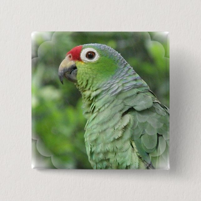 Green Parrot Square Pin (Front)