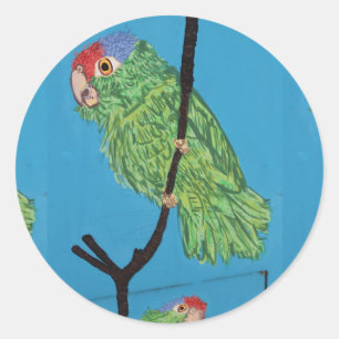 green parrot  sticker