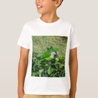 Green parrot