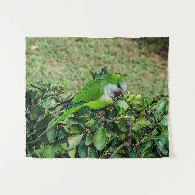 Green parrot tapestry (Front (Horizontal))