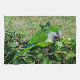 Green parrot tea towel
