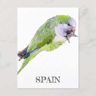 Green parrot watercolor painting postcard