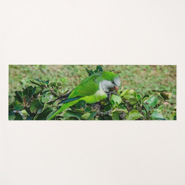 Green parrot yoga mat (Front (Horizontal))