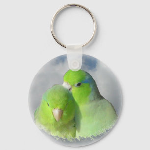 Green parrotlet pair key ring