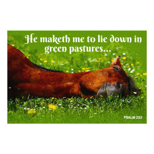 Green Pastures Photo Print