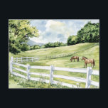 Green Pastures Ranch Horses Postcard<br><div class="desc">Green Pastures Ranch Horses</div>
