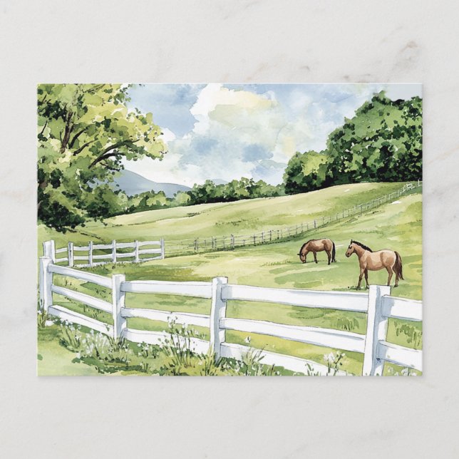 Green Pastures Ranch Horses Postcard (Front)