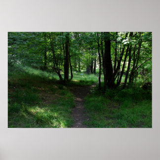 Green Path Poster