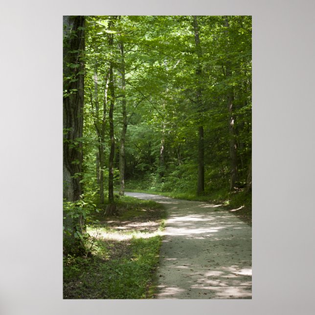 Green Paths 13 Poster (Front)