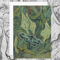 Green Peacock (Emperor) Moth by Vincent van Gogh