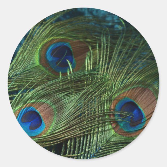 Green Peacock Feather Classic Round Sticker (Front)