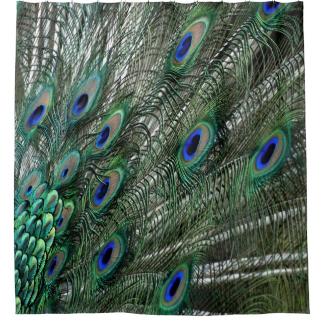 Green Peacock Feathers With Blue Eyes Shower Curtain (Front)