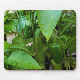 Green Peppers Mouse Pad