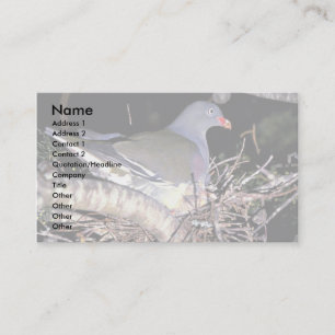 Green Pigeon Business Card