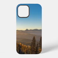 GREEN PINE TREES ON MOUNTAIN UNDER BLUE SKY DURING
