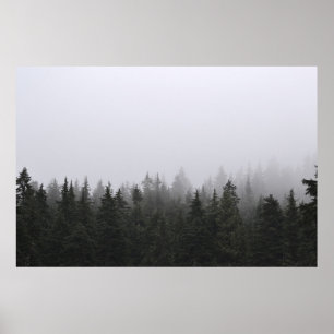 GREEN PINE TREES UNDER WHITE SKY POSTER
