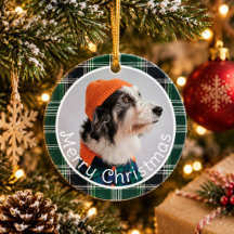 Green Plaid Gingham Playful Pets Photo Christmas