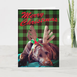 Green Plaid Labrador Wearing Antlers Photo Custom Holiday Card
