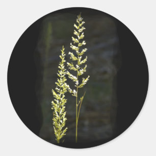 Green Plant Classic Round Sticker