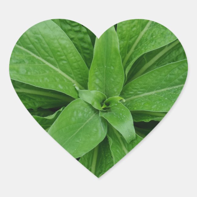 Green Plant Heart Sticker (Front)