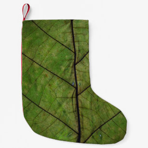 Green plant leaf close-up photography small christmas stocking
