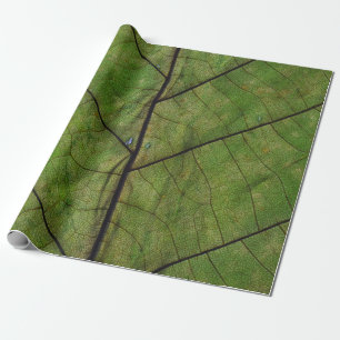 Green plant leaf close-up photography wrapping paper