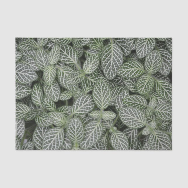 Green Plant Leaves Botanical Tissue Paper (Front)