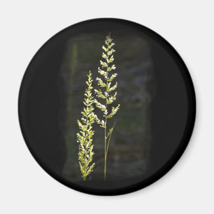 Green Plant Magnet