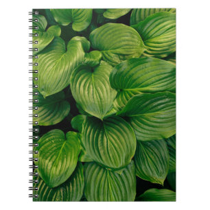 Green plant notebook