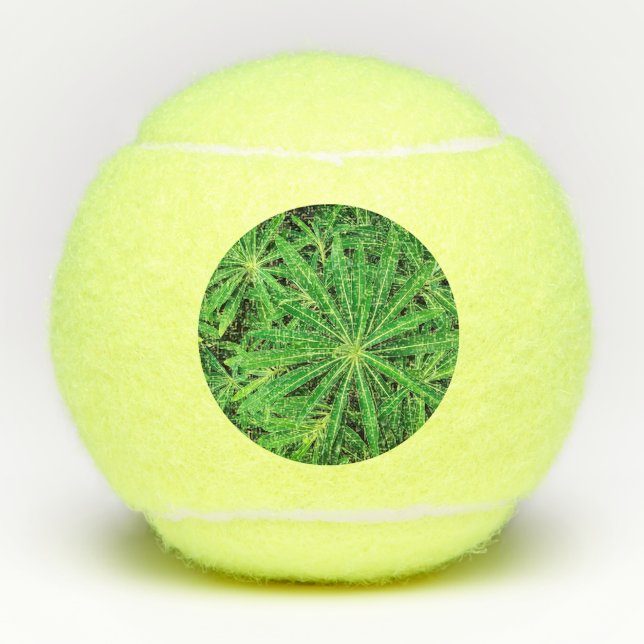 Green plant tennis balls (Front)