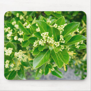 green plants beauty mouse pad