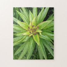 Green Pointed-Leaf Plant Puzzle by Darin Jones