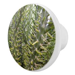 Green Prickly Cactus Trees, Ceramic Knob