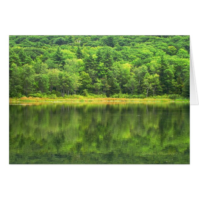 Green: Prime colour of the world (Front Horizontal)