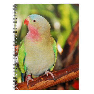 Green princess parakeet print notebook