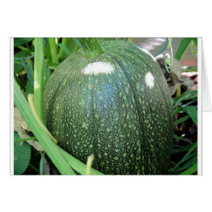 Green Pumpkin