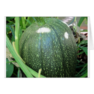 Green Pumpkin