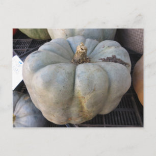 Green Pumpkin Postcard