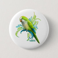 Green Quaker Parrot